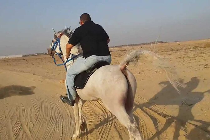 1 Hour Turkish Bath & 1 Hour Horseback Riding - Sharm El Sheikh - Why the order of activities is important