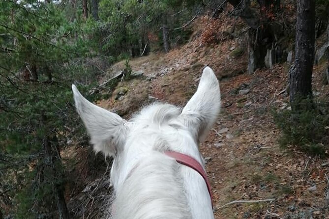 1 Hour Waterfalls Canyon Private Horse Riding in Smolyan - A short horseback ride with a strong sense of place