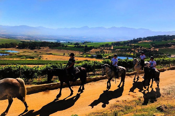 1h – Horse Trail - Key points to know before you book
