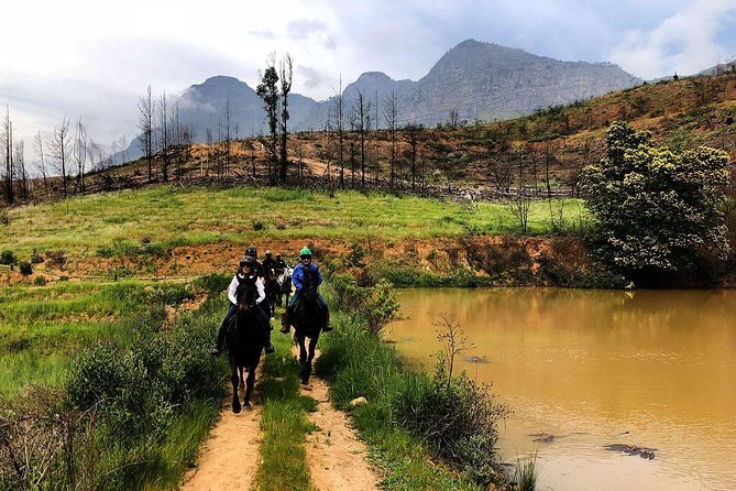 1h – Horse Trail - A quiet hour in the Franschhoek wine valley