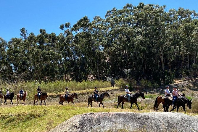 1h – Horse Trail - The guide makes the difference
