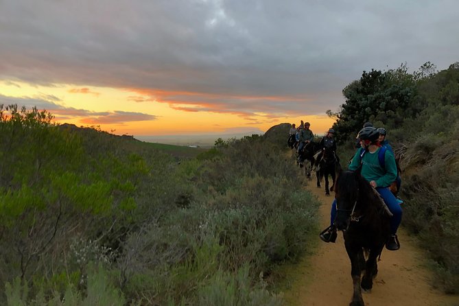 1h – Horse Trail - The weight rule is important