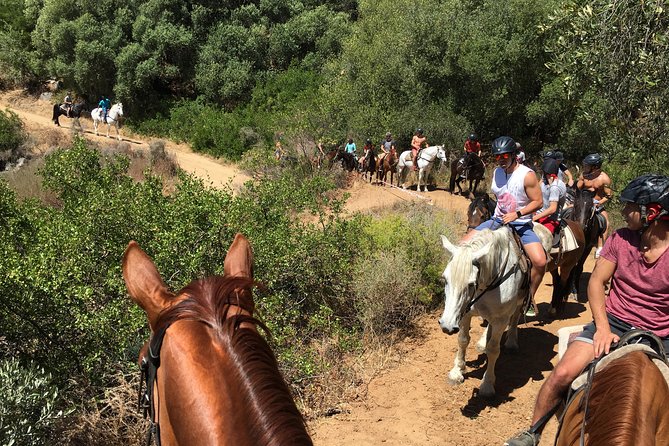 1h – Horse Trail - Choosing a time and planning the rest of your day