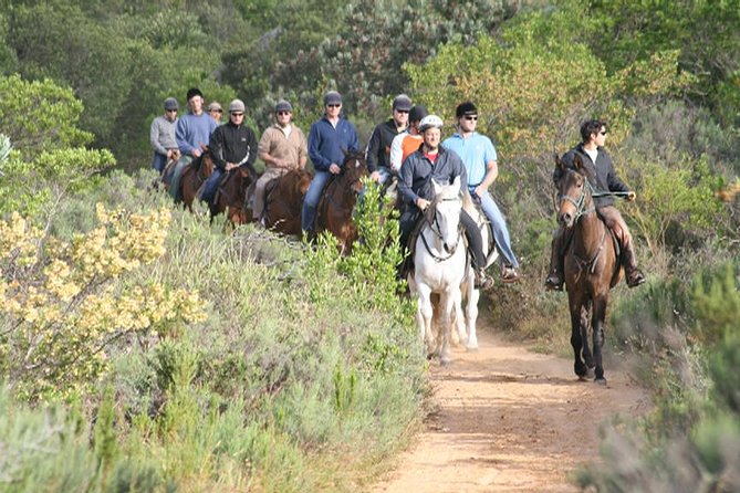 1h30m – Horse Trail - Key points to know before you book