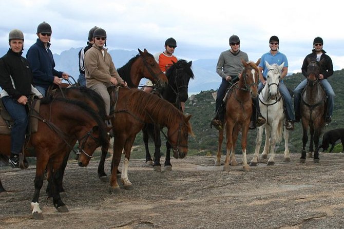 1h30m – Horse Trail - Why the guide matters for beginners