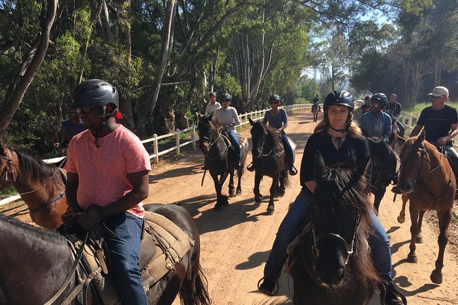 1h30m – Horse Trail - Horse care and rider responsibility