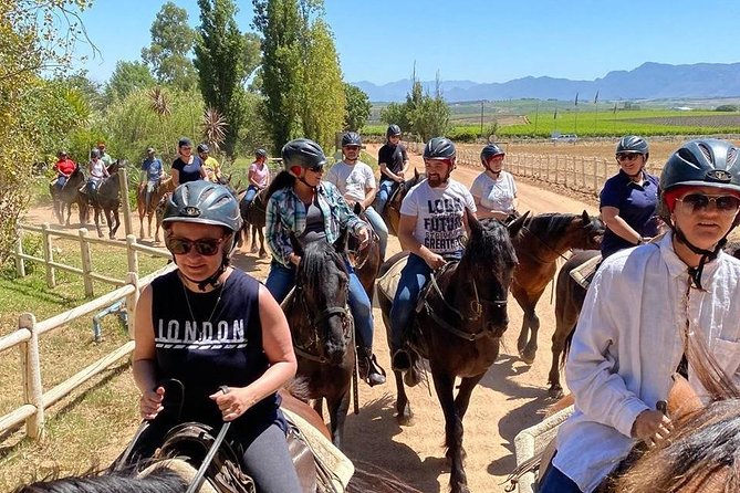 1h30m – Horse Trail - Age rules need a quick check