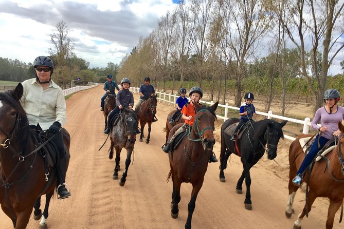 1h30m – Horse Trail - The first ride through vineyards and oak trees