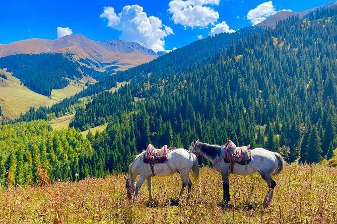 2-Day Adventure: Horseback Riding, Konorchek Canyons & Yurt Stay - Four hours on horseback in Chon Kemin