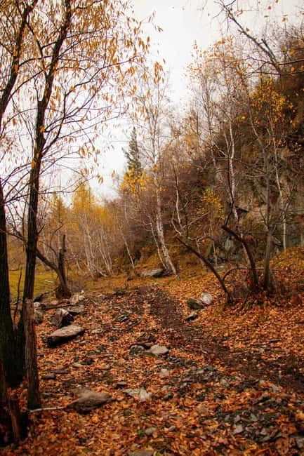 2 Day Horse trekking in Terelj national park - Aryabal Monastery and a quieter pause