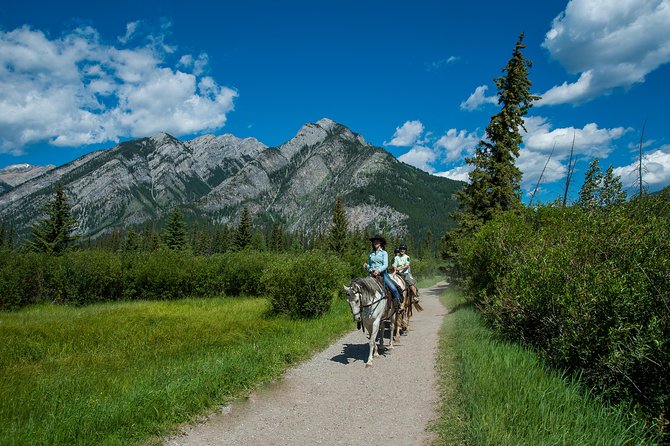 2 Hour Banff Horseback Riding Adventure - What the horses and guides add