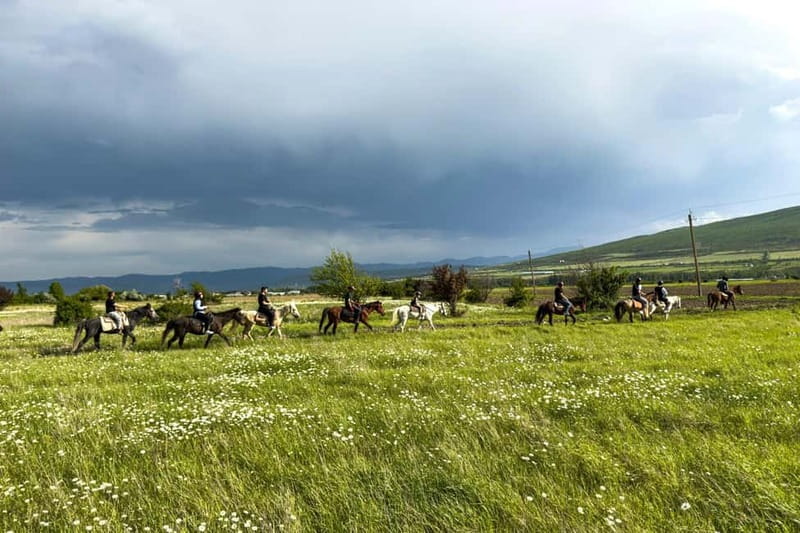 2-hour horse riding tour at Palomino Ranch Near Tbilisi - Leaving Tbilisi for Ferma