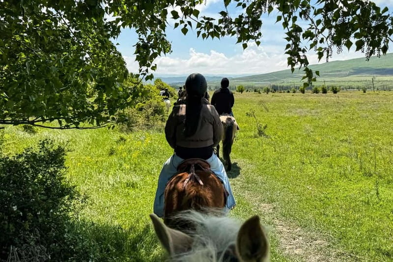 2-hour horse riding tour at Palomino Ranch Near Tbilisi - Riding through meadows and working farms