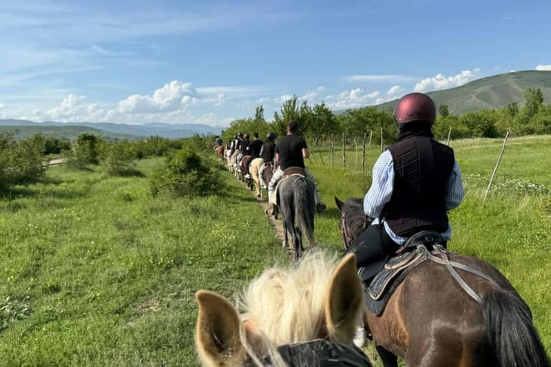 2-hour horse riding tour at Palomino Ranch Near Tbilisi - A guide-led ride for beginners and regular riders