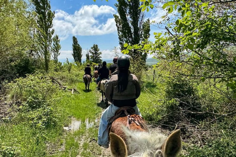 2-hour horse riding tour at Palomino Ranch Near Tbilisi - Meeting your horse and getting ready