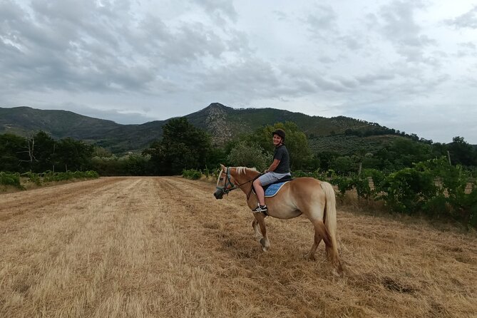 2 hour horseback ride for experts in Valgraziosa (Pisa) - A country ride just outside Pisa