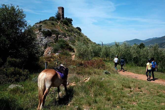 2 hour horseback ride for experts in Valgraziosa (Pisa) - Crossing the Crespignano estate