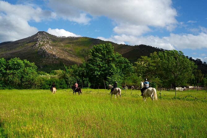2 hour horseback ride for experts in Valgraziosa (Pisa) - Reaching Certosa di Calci