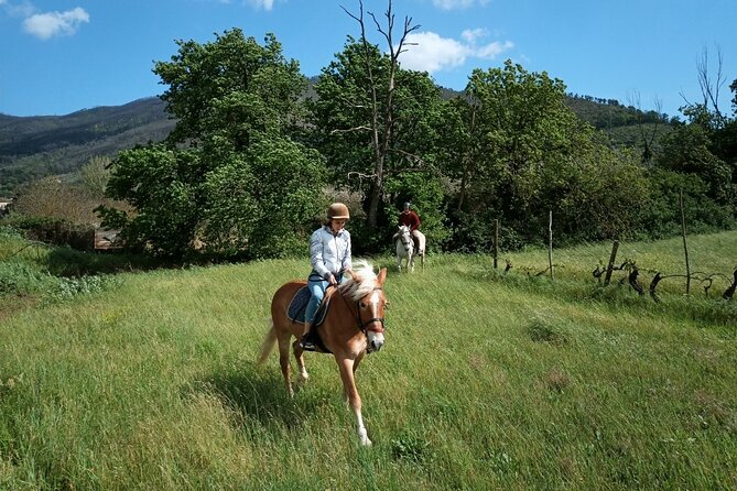 2 hour horseback ride for experts in Valgraziosa (Pisa) - Returning on the loop to La Cartuja
