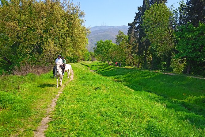 2 hour horseback ride for experts in Valgraziosa (Pisa) - Horses, safety, and the riding standard