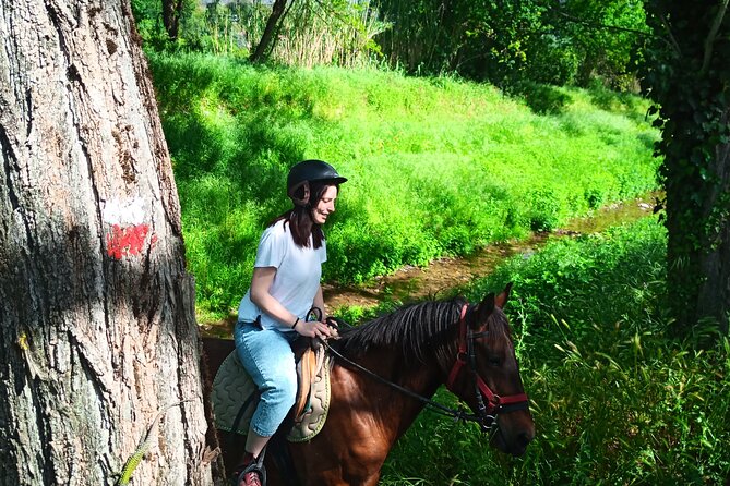 2 hour horseback ride for experts in Valgraziosa (Pisa) - The coastal view from halfway up the route