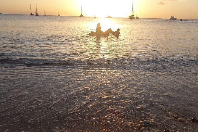 2 Hour Horseback Riding Sunset Tour with Dore's Riding Stable - A sunset ride with a real payoff