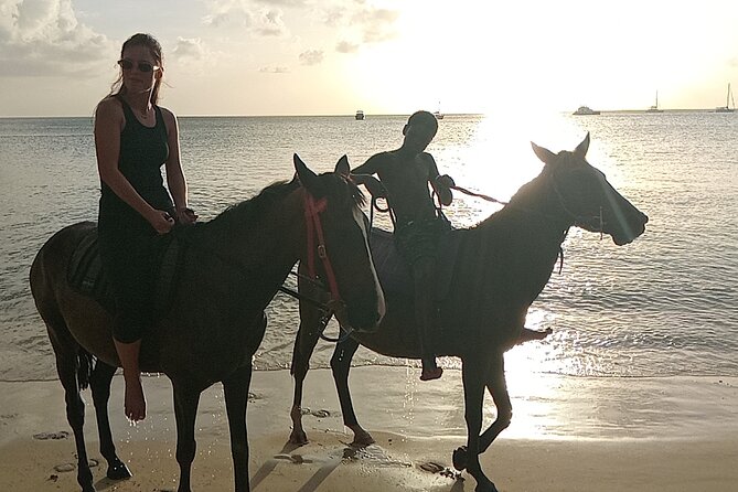 2 Hour Horseback Riding Sunset Tour with Dore's Riding Stable - Pigeon Pointe or Emerald Bay