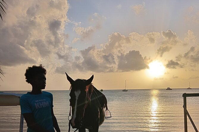 2 Hour Horseback Riding Sunset Tour with Dore's Riding Stable - The ride back and the overall pace