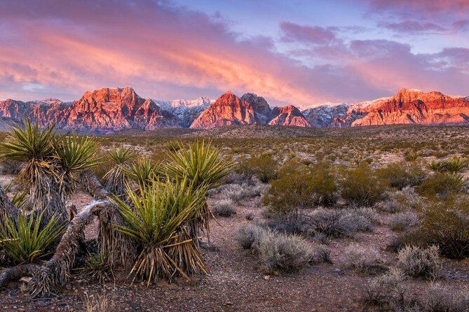 2-Hour Horseback Riding through Red Rock Canyon - Key points at a glance