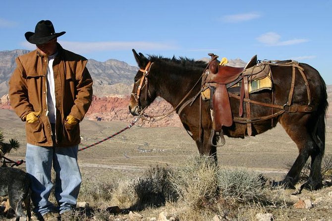 2-Hour Horseback Riding through Red Rock Canyon - Is $149 a fair price?