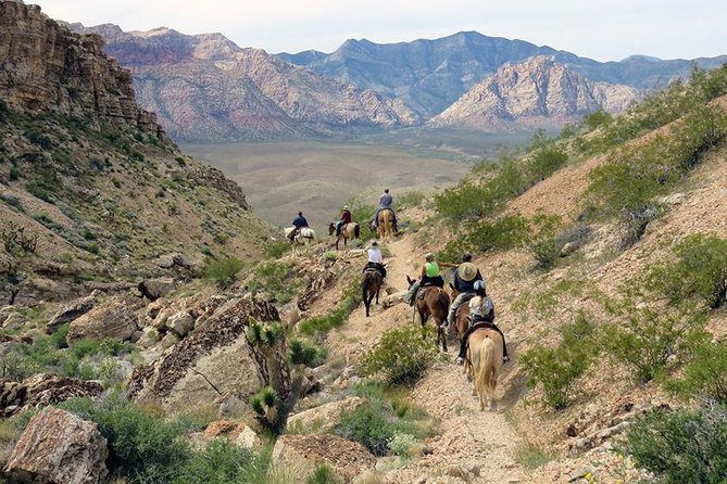 2-Hour Horseback Riding through Red Rock Canyon - Who should book this ride?