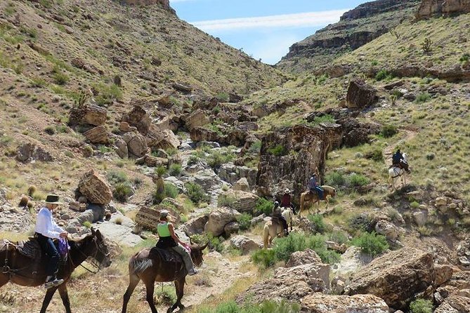 2-Hour Horseback Riding through Red Rock Canyon - Meeting the wranglers and your horse