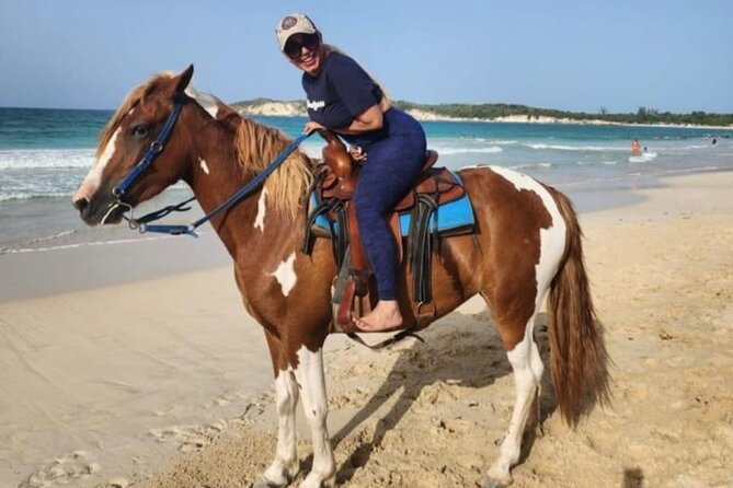 2-Hour Horseback Riding Tour at Sunset from Punta Cana - Is $77.95 a fair price?