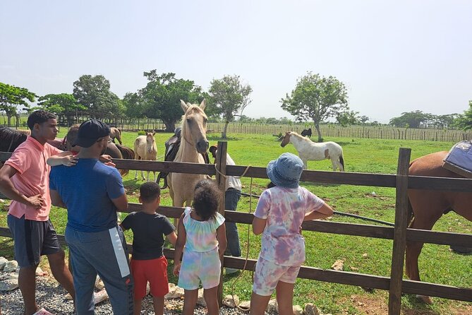 2-Hour Horseback Riding Tour at Sunset from Punta Cana - Practical details that matter