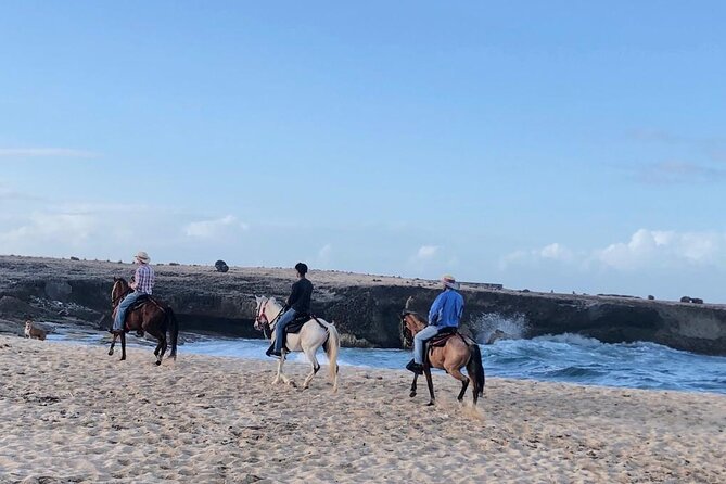 2-Hour Horseback Riding Tour to Little Natural Bridge in Aruba - How personal is the tour?