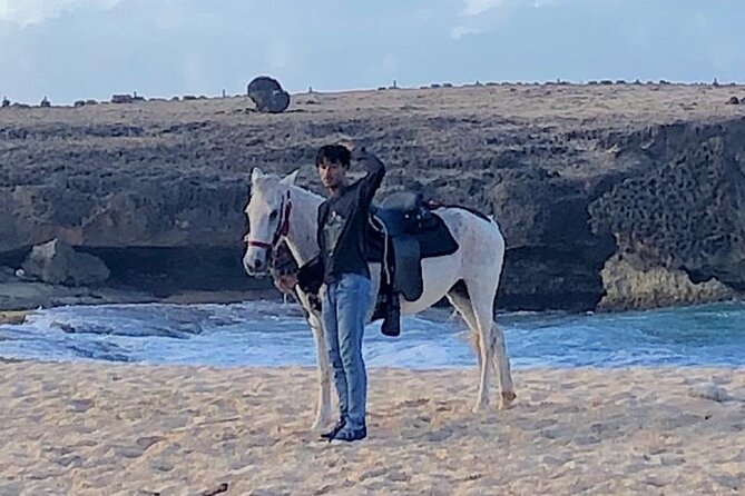 2-Hour Horseback Riding Tour to Little Natural Bridge in Aruba - Is $116 a fair price?