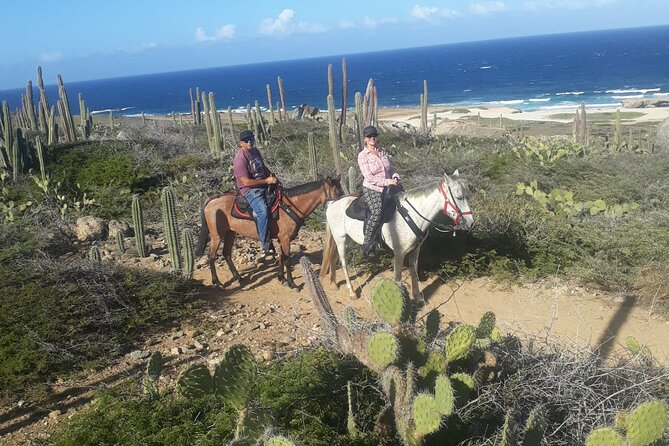 2-Hour Horseback Riding Tour to Little Natural Bridge in Aruba - Should you book the Little Natural Bridge ride?