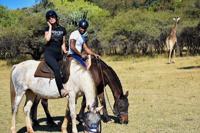 2-Hour Horseback Safari in Hartbeespoort - Key points to know before you book