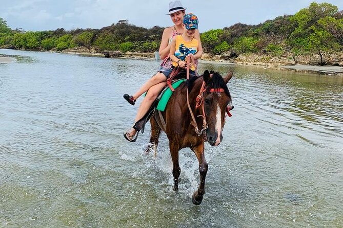 2-hour sunset horseback ride from Punta Cana - Coffee, cocoa, and mamajuana at the ranch
