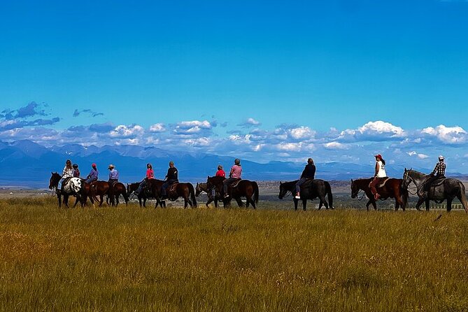 2 Hour Trail Ride in Montana Ranch Country - What makes the horses special