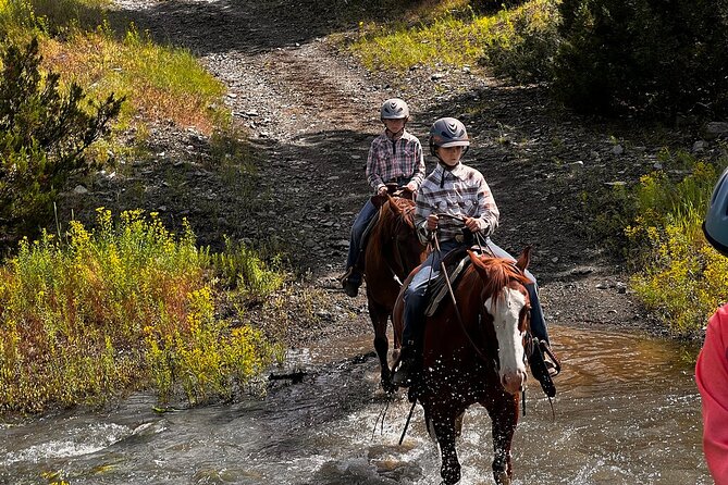 2 Hour Trail Ride in Montana Ranch Country - Why the $135 price can make sense