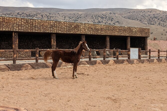 2 Hour Trail Ride to Little Petra-Morning or Sunset - Starting at Mountain Horse Stables near Little Petra