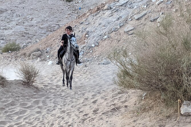 2 Hour Trail Ride to Little Petra-Morning or Sunset - Seeing Nabatean water channels from the saddle