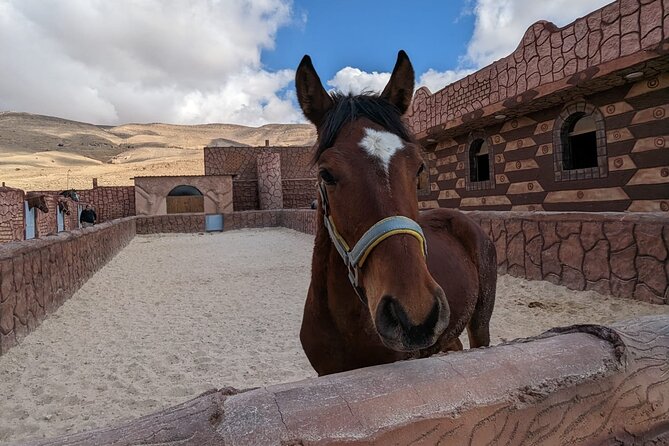 2 Hour Trail Ride to Little Petra-Morning or Sunset - Optional stops at the Neolithic Village and Little Petra