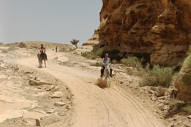 2 Hour Trail Ride to Little Petra-Morning or Sunset - Meeting the horses and understanding the stable’s work