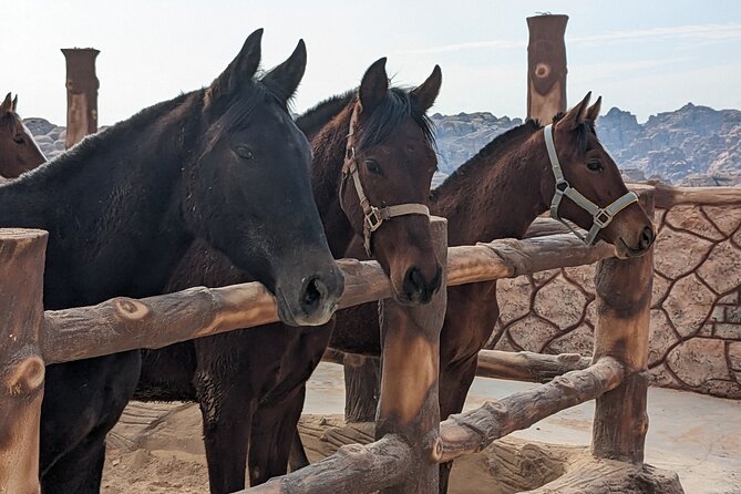 2 Hour Trail Ride to Little Petra-Morning or Sunset - Riding the backroads toward Little Petra