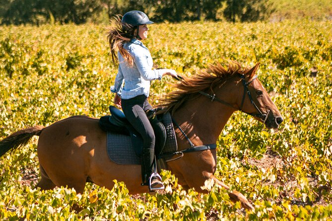 2 Hour Vineyard Trail Ride - Key points to know before booking