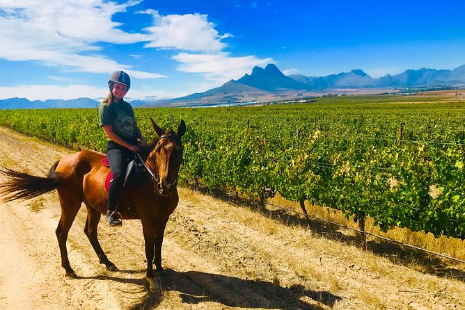 2 Hour Vineyard Trail Ride - Starting at Vredenheim in Stellenbosch