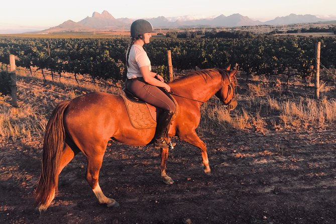 2 Hour Vineyard Trail Ride - What Vredenheim offers beyond the ride