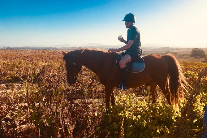 2 Hour Vineyard Trail Ride - The guides and the feel of the outing